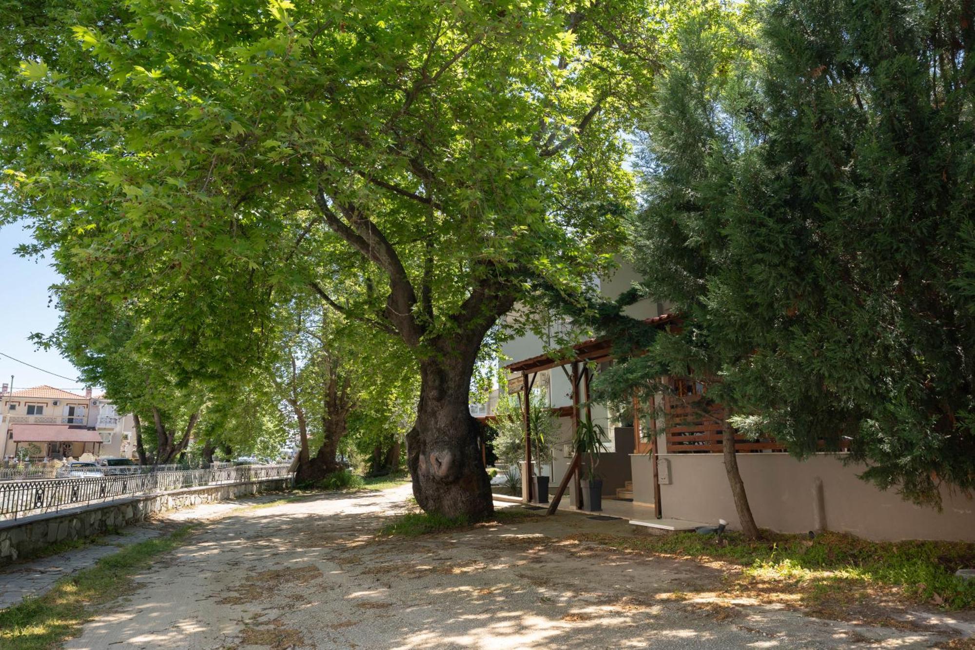 Kipos Resort Néa Péramos المظهر الخارجي الصورة